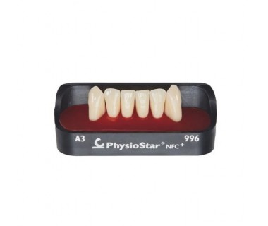 PHYSIOSTAR NFC+ dantys (priekiniai, apatinis žandikaulis) PHYSIOSTAR NFC+ dantys (priekiniai, apatinis žandikaulis)